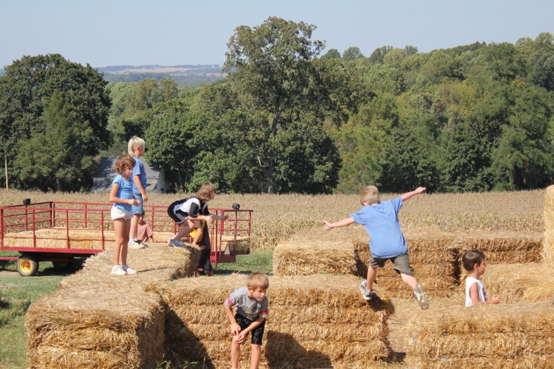 2010-09-25-ScoutsMapleLawnFarms-020.jpg