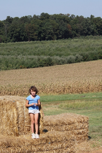 2010-09-25-ScoutsMapleLawnFarms-023.jpg