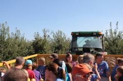 2010-09-25-MapleLawnFarms-042.jpg