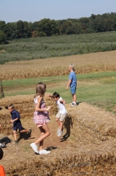 2010-09-25-ScoutsMapleLawnFarms-010.jpg