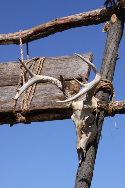2010-10-BoyScoutsWebelosWizardSafari-102.jpg