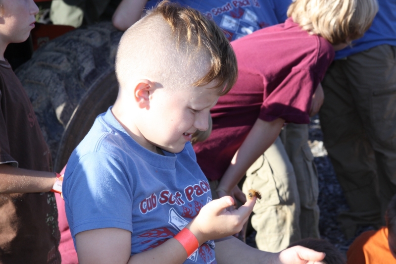 2010-10-BoyScoutsWebelosWizardSafari-141.jpg