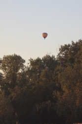 2010-10-BoyScoutsWebelosWizardSafari-049.jpg