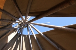 2010-10-BoyScoutsWebelosWizardSafari-081.jpg