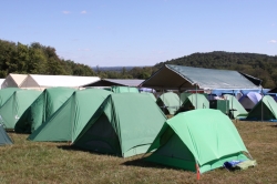 2010-10-BoyScoutsWebelosWizardSafari-094.jpg