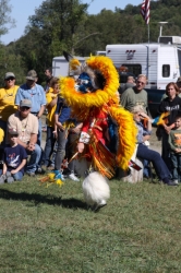2010-10-BoyScoutsWebelosWizardSafari-120.jpg