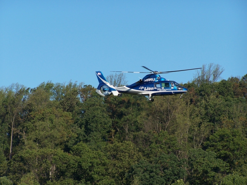 2010-10-WizardSafari-001.jpg