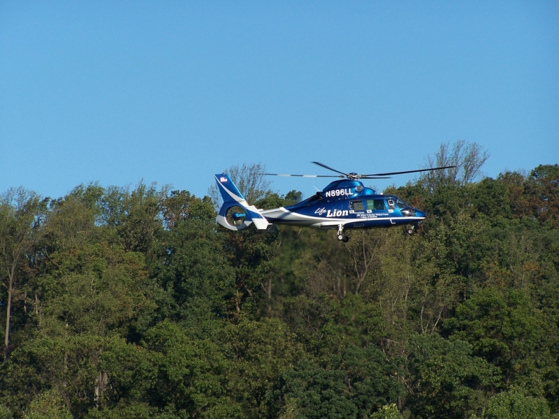 2010-10-WizardSafari-002.jpg