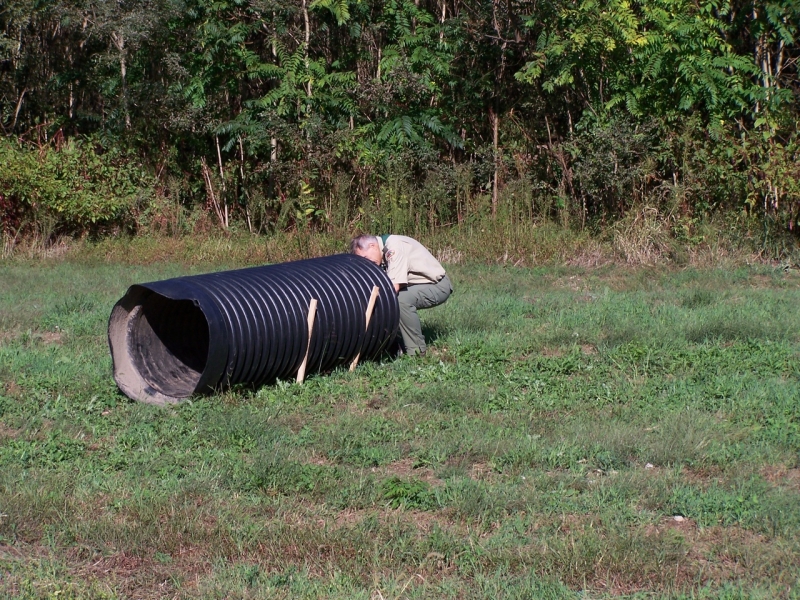 2010-10-WizardSafari-006.jpg