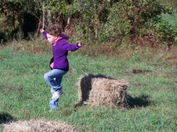 2010-10-WizardSafari-010.jpg