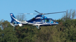 2010-10-WizardSafari-148.jpg