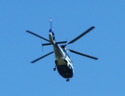 2010-10-WizardSafari-155.jpg