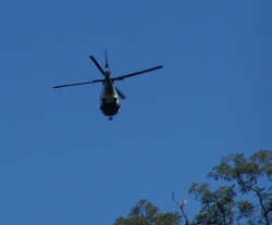 2010-10-WizardSafari-156.jpg