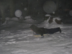 2011-01-00-Winterfest-024.jpg