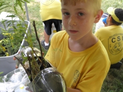 2011-07-00-ScoutDayCamp-017.jpg